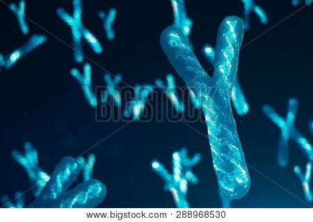 Poster: Ychromosomes With Dna Carrying The