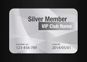 picture of member  - VIP member card in silver color with member number and date of expiration - JPG 
