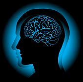 picture of science  - Profile of human head with visible brain - JPG 