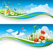 foto of sky  - Two  summer natural banners with flowes and blue sky - JPG 