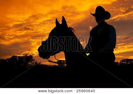 Picture or Photo of Silhouette of a horse and a rider against dramatic evening storm clouds