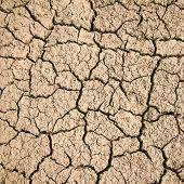 image of earth  - Dry cracked earth background - JPG 