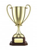 pic of leadership  - Gold trophy cup - JPG 