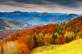 pic of nature  - the mountain autumn landscape with colorful forest - JPG 