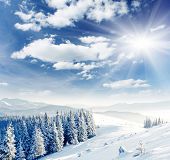 stock photo of landscape  - Beautiful winter landscape with snow covered trees - JPG 