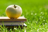 pic of education  - Apple on pile of books on grass - JPG 