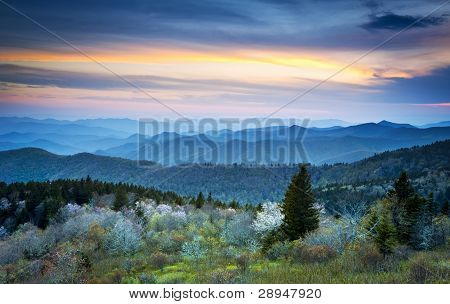 Picture or Photo of Scenic Blue Ridge Parkway Appalachians Smoky Mountains Spring Landscape with May blossoms
** Note: Slight graininess, best at smaller sizes