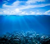 picture of surface  - Underwater coral reef seabed view with horizon and water surface split by waterline - JPG 